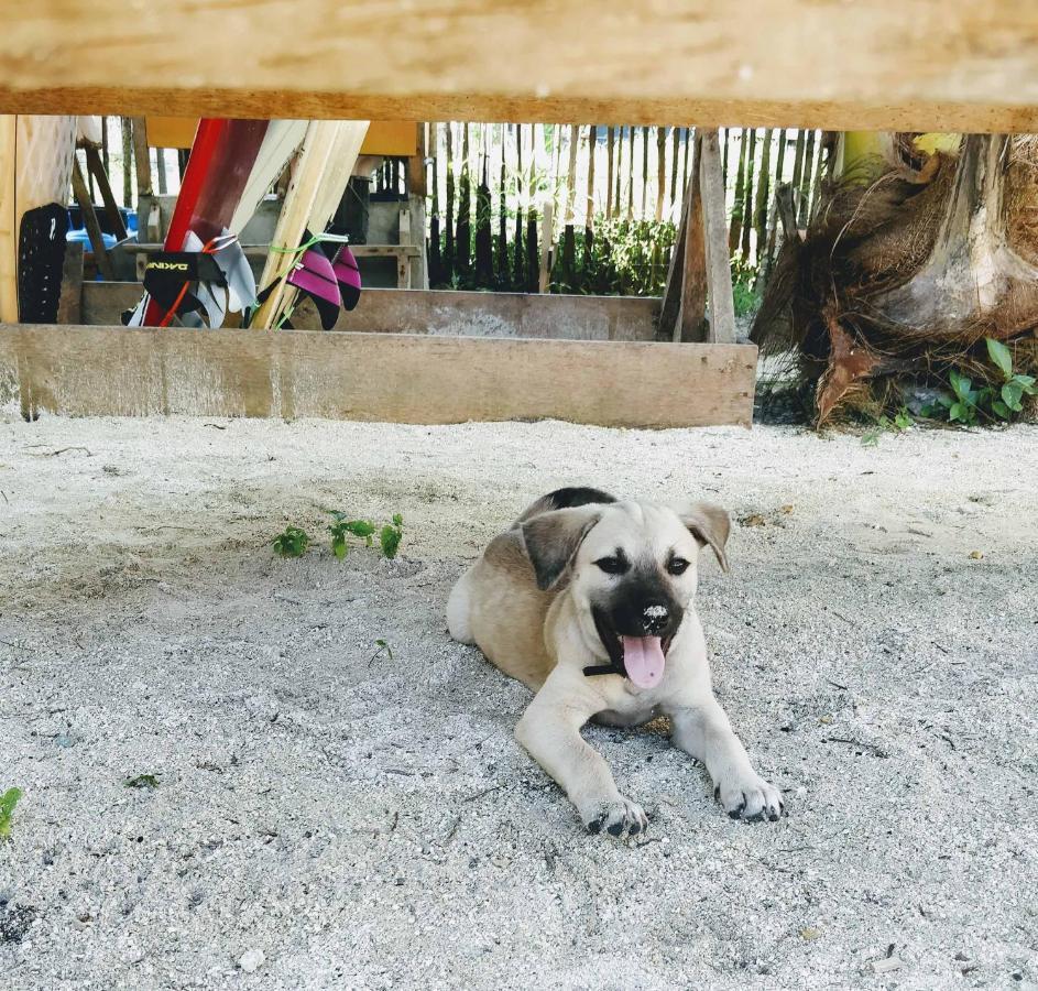 Mao Mao Surf Lodge General Luna (Surigao del Norte)