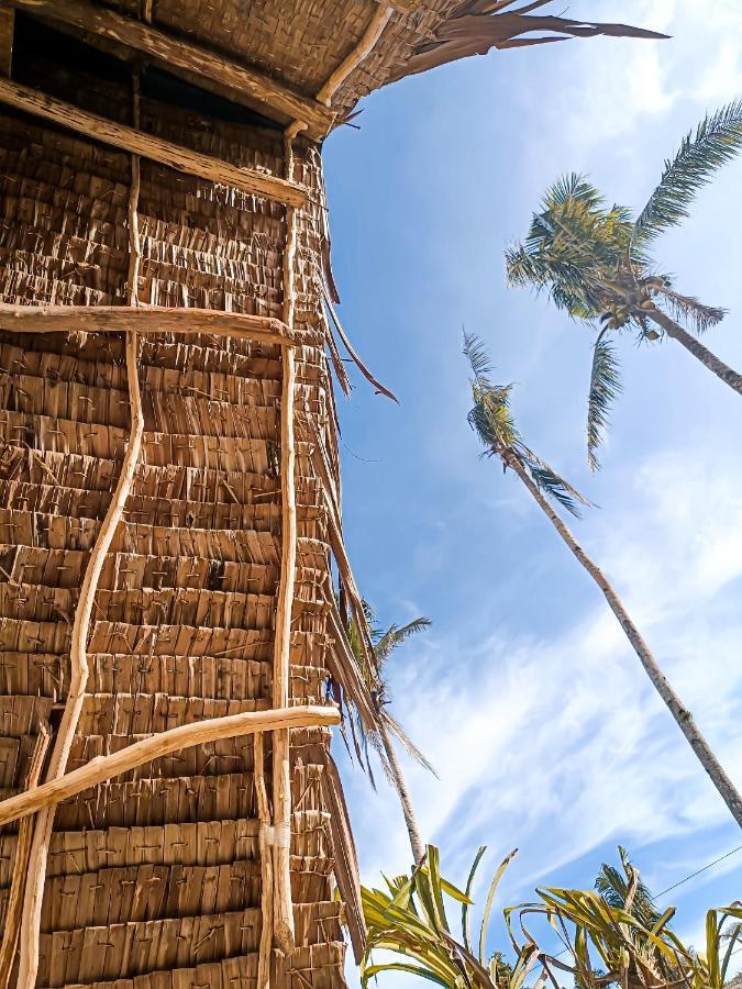 Lodge Mao Mao Surf